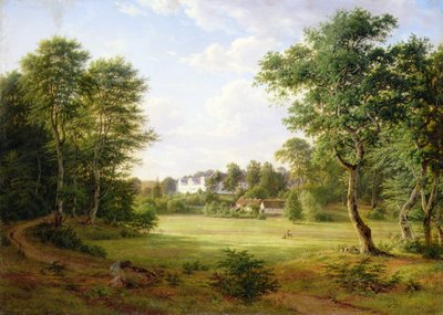 Paesaggio danese con un piccolo castello da Frederik Kiaerskou