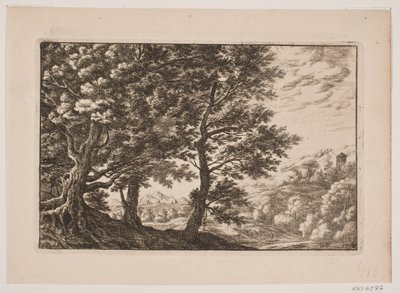 Paesaggio montuoso con grandi alberi da Frederik Laub