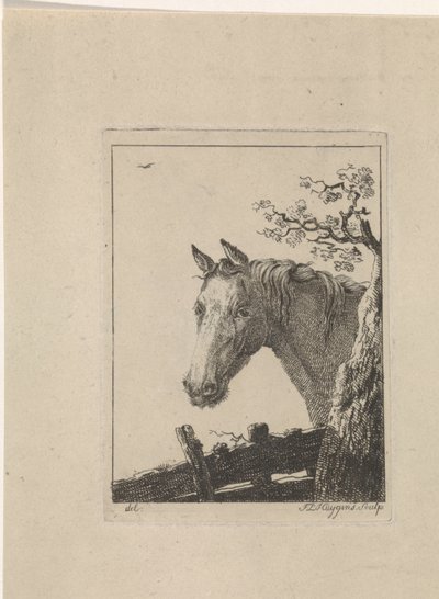 Testa di un cavallo da Frederik Lodewijk Huygens