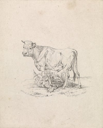 Toro da Frederik Lodewijk Huygens