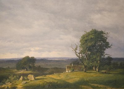 Paesaggio della regione di Esrom da Frederik Rohde