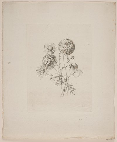 Motivo floreale da Frederik Schepelern