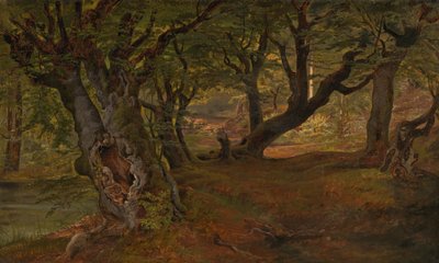 Vista della Foresta di Bregentved, Sjaeeland da Frederik Sødring
