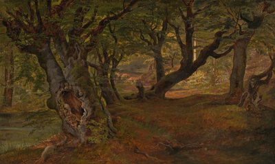 Vista della foresta di Bregentved, Sjaeeland, metà degli anni 1830 da Frederik Sødring