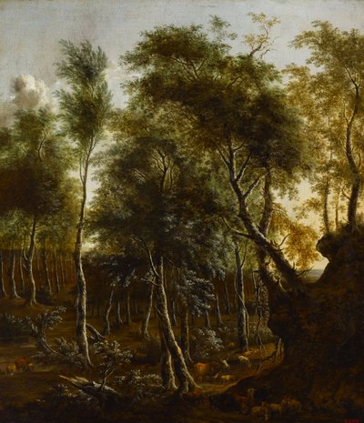 Un paesaggio boscoso da Frederik de Moucheron
