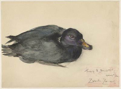 Edredone nero da Frederika Henriëtte Broeksmit