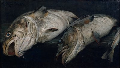 Merluzzo da Fredrik Kolstoe