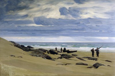 Giornata di tempo grigio a Jaeren da Fredrik Kolstoe
