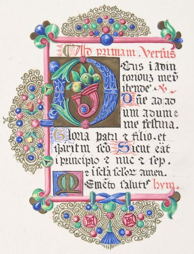Lettera illuminata D all
