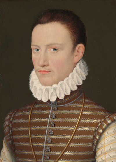 Ritratto di un nobile da French 16th Century
