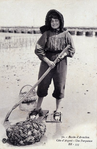 Bacino di Arcachon: una macchina per la parcellizzazione delle ostriche - cartolina postale da French Photographer