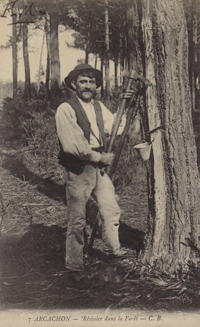 Arcachon, Resinier nella foresta da French Photographer