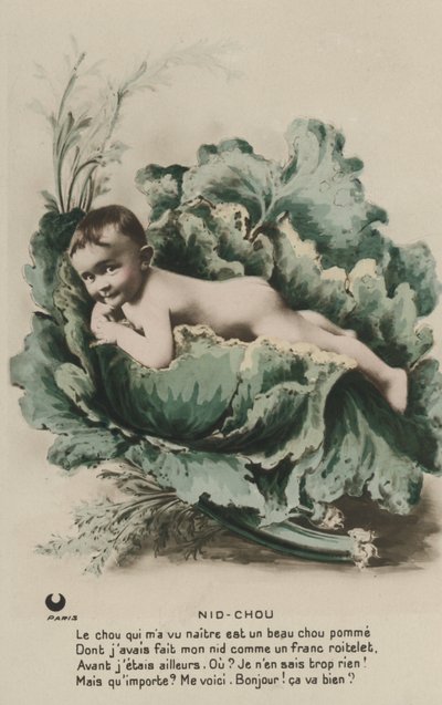 Bambino in un cavolo da French Photographer