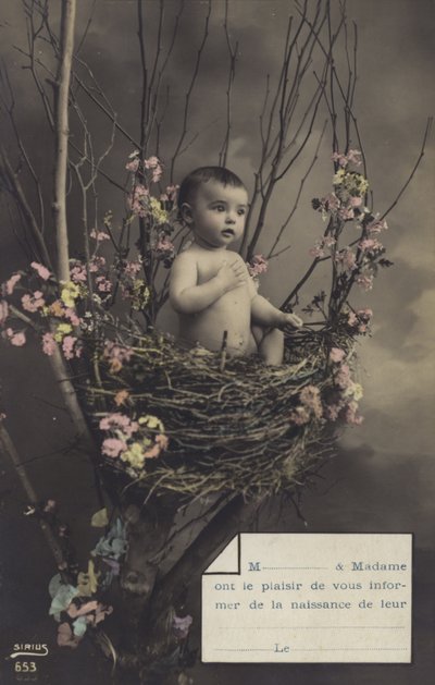 Bambino in un nido da French Photographer