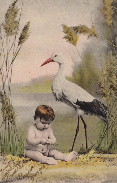 Bambino con cicogna da French Photographer