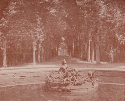 Bacino di Flora, Parco di Versailles da French Photographer