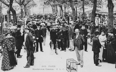 Mercato degli uccelli, Parigi da French Photographer