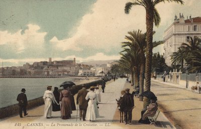 Cannes, La Promenade De La Croisette da French Photographer