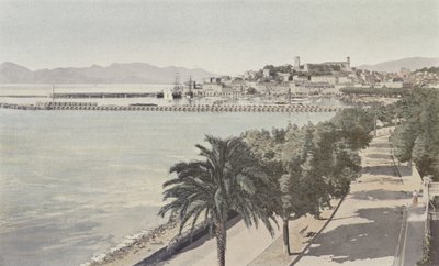 Cannes, Porto e Città vecchia, Boulevard de la Croisette da French Photographer