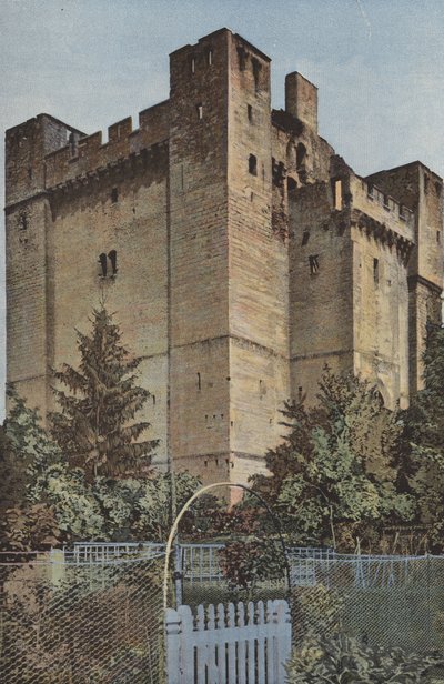 Chambois, Il Castello, il Donjon, Lato S O da French Photographer