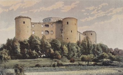 Coucy-le-Chateau, Castello di Coucy, Vista generale S O da French Photographer