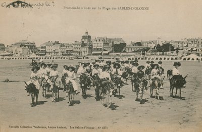 Giri in asino sulla spiaggia a Les Sables-d