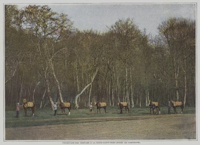 Cavalli da corsa in esercizio a La Croix-Saint-Ouen nella Foresta di Compiegne, Francia da French Photographer