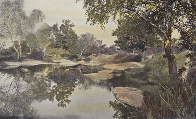 Fontainebleau, foresta, stagno di Franchard da French Photographer