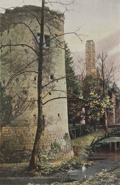 Fontenay-Tresigny, rovine del castello di Vivier-en-Brie da French Photographer