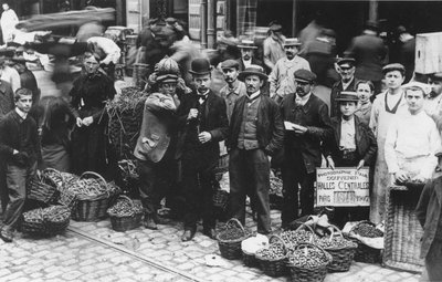 Giardinieri del mercato di Les Halles, Parigi, 1907 da French Photographer