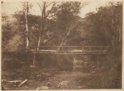 Paesaggio con alberi e ponte, c. 1850 (foto) da French Photographer