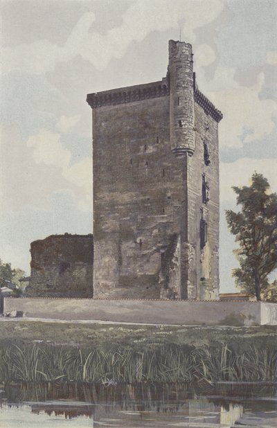 Lesparre, Donjon del Castello, Insieme ovest da French Photographer