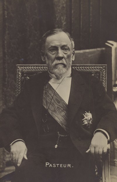 Louis Pasteur (1822-1895), chimico e microbiologo francese da French Photographer