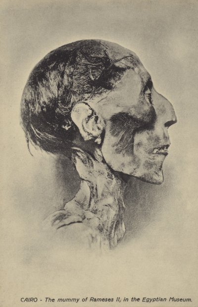 Mummia di Ramses II da French Photographer