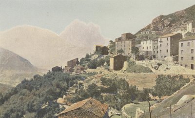 Ota e il Capo d