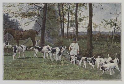 Branco di cani da caccia del Barone de Carayon-Latour a Virelade, Francia da French Photographer