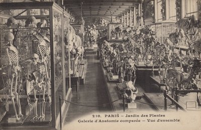 Parigi, Jardin des Plantes da French Photographer