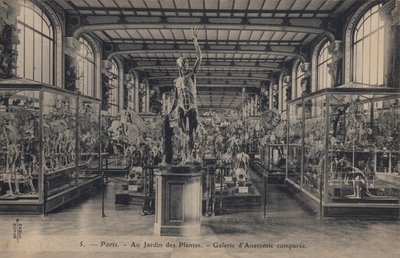 Parigi, Jardin des Plantes da French Photographer