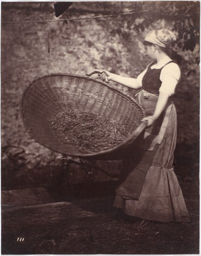 Contadina con cesto di vagliatura da French Photographer