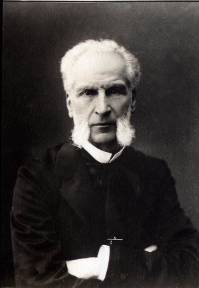 Ritratto di Aime Joseph Edmond Rousse (1817-1906), avvocato francese da French Photographer