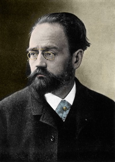 Ritratto di Émile Zola (1840-1902) scrittore francese da French Photographer