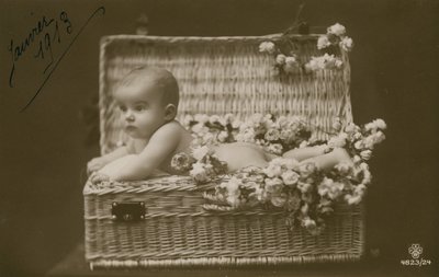 Bambino in un cesto di vimini con fiori da French Photographer