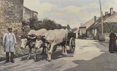 Saulieu, Un tiro nel Morvan da French Photographer
