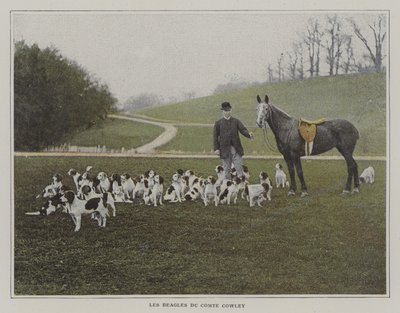 I beagle del Conte Cowley da French Photographer