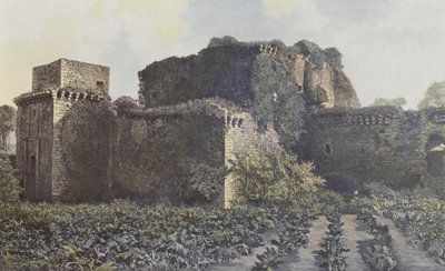 Tiffauges, Rovine del Castello, Vista dalla corte da French Photographer