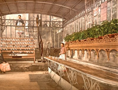 Acqua di sorgente di Vichy venduta al bicchiere alla fonte Celestina da French Photographer