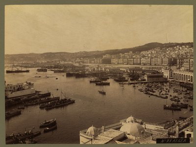 Veduta di Algeri, c.1860-1900 da French Photographer