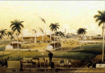 14784N Fabbricazione del rum nei Caraibi Collezione da French School