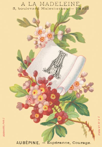 A: Aubepine - Speranza, Coraggio da French School