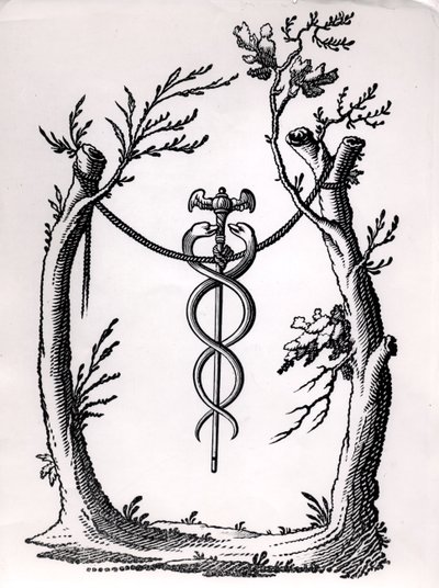 Un caduceo da French School